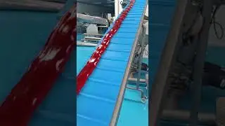 Automatic Hard Candy Making Machine