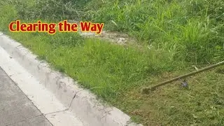 Clearing the Way for Safer and Well-Maintained Roads