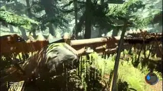 The forest 0.26 постройки висят в воздухе