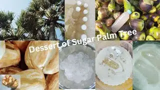 Street Food - Dessert of Sugar Palm Tree - Travel #RelaxFun #Streetfood