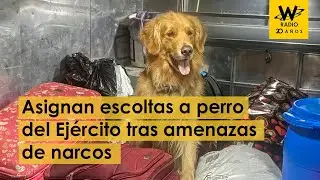 Asignan escolta a un perro del Ejército tras recibir amenazas de narcos