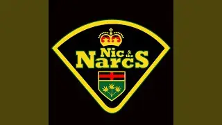 THEME FROM NIC AND THE NARCS (1980)