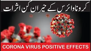 Corona positive effect on world | USA | Poop Stars | China | Corona virus Death Cases | Tube Star 4U