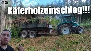 K&auml;ferholzeinschlag mit STIHL MS 462 C und Steyr Forstschlepper / FarmVlog 47