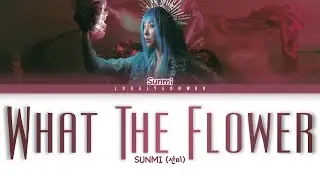 SUNMI (선미) &ndash; What The Flower (꽃같네) Lyrics (Color Coded Han/Rom/Eng)