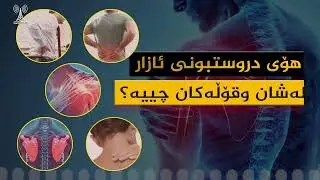 یەکێک لە بێزارترین ئازارەکانی لەش، ئازاری شان، یان بازو و قۆڵەکان یان مەچەک و دەست و پەنجەکانە