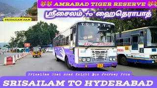 ஸ்ரீசைலம் to ஹைதெராபாத் பேருந்துப் பயணம் | SRISAILAM to HYDERABAD | TGSRTC LUXURY BUS JOURNEY..