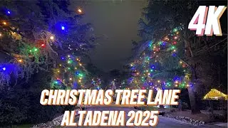 Altadena Christmas Tree Lane 4K | Stunning Holiday Display