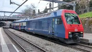 SBB RE450 | S-Bahn Z&uuml;rich | 28-02-2025 | Brttrainz | CH | Zurich Enge |