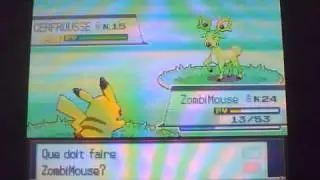 Cerfrousse / Stantler Shiny