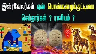 இஸ்ரவேலர்கள் ஏன் பொன்கன்றுக்குட்டியை செய்தார்கள் ? | Tamil Bible Study |  சிலை வணக்கம் - Bible Facts