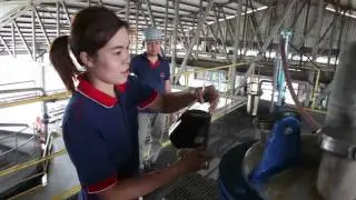 ค้นพบยีสต์สายพันธุ์ใหม่ เติบโตแบ่งเซลล์เร็ว ผลิตเอทานอลสูงมาก