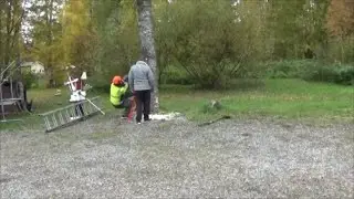 Kallellaan olevan pihapuun kaato kaadonsuuntajalla.