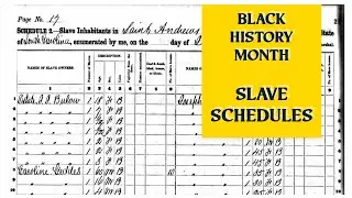 Black History Month - Slave Schedules