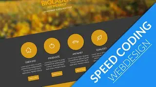 Speed Art/ Coding | Fruit Website | HosonoDesign
