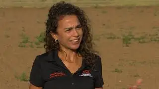 How is drought impacting wheat planting?