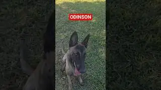 МЫ БЕЗОПАСНЫ...