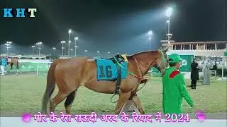 number 28 🇸🇦🐎 सऊदी अरब के रियाद में गोरा की दौड़ horse wrestling Saudi Arabia Riyadh Jana Dariya KHT
