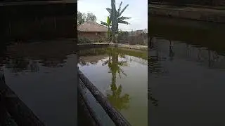 dgrkan#resapi dlm hti#tenang#adem