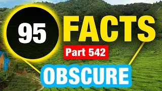 95 Amazing Random Facts | Random Facts You Never Knew