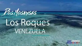 Rainbow parrotfish fly fishing, (scarus guacamaia)  LOS ROQUES VENEZUELA