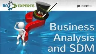 Business Analysis and System Development Methodologies (SDM)