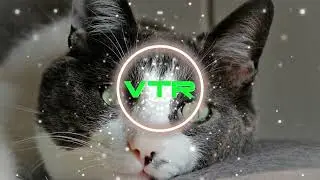 Celtic spirits irish bodhran drums and classic guitar -🎼NO COPYRIGHT MUSIC 🎧