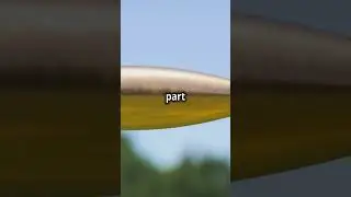 How a gun works