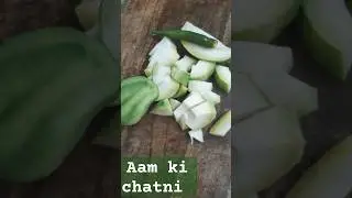 Dadi Nani ki pitara wali kachhe mango chutney #shots #mangorecipe #ytshorts #mango
