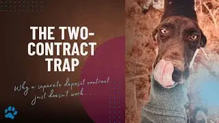 Should You Use a Separate Deposit Contract?