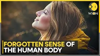 Scientists Reveal That Humans Possess 30 Different Ways to Feel | WION