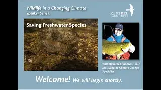 Wildlife in a Changing Climate: Protecting Freshwater Species