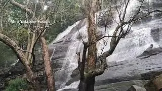 #Yercaudkiliyurwatterfalls#shorts    Yercaud kiliyur waterfalls | #shorts | Mini Yakshini Foods