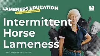 Intermittent Horse Lameness: What Every Vet Should Know