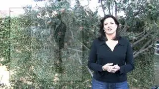 Terri Keefer Audition video for Bambi Cantrell's LIVE workshop with Creative Live