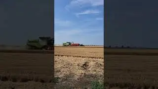 Tarwe dorsen met een Claas Lexion 780. Like and subscribe please🙏