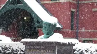 Happy Holidays from BU School of Medicine