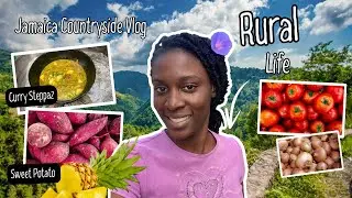 Beautiful Slow Life In Rural Jamaica: Cooking Curry Steppaz & Bush Walk