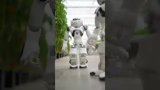 Robo  #robotic #roboting