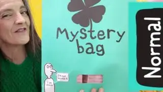 Mystery Bag 🎁 NORMAL 