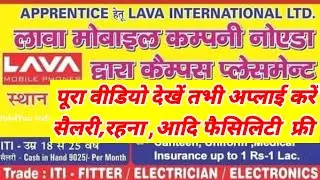 Lava mobile company job|noida job vacancy today|plemt cell India|job in noida