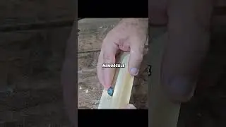 🛠️ L&rsquo;invention en bois la plus ing&eacute;nieuse du monde (Et elle co&ucirc;te presque rien !)
