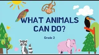 Practice Grade 2: What Animals Can Do?