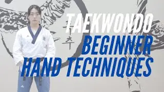 Taekwondo Basics: Hand Techniques, Beginner Belt Curriculum