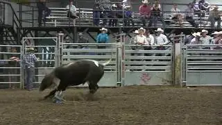 Nansen Vold Rodeo Co.'s 522 scores 82.75 points (ABBI)