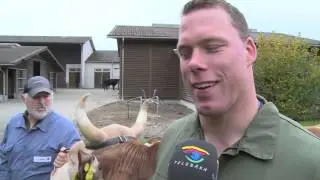 TeleBaern Samengewinnung Sempach Siegermuni 131117 Muni Maz