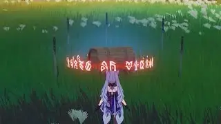 Stupid sealed Common Chest Higi village Genshin impact