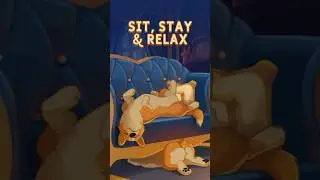 Keep calm and carry on ✨ #lofi #animation #corgi #cozyrainnight
