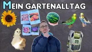Mein Gartenalltag - ein Tag als Hobbygärtner 🫣🌱🧑🏻‍🌾