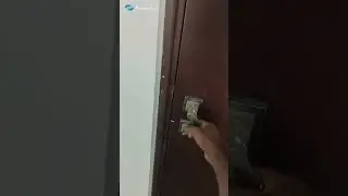 Door Handle Stuck? Here's What Might Be Wrong! 🔧🚪- Home Inspection